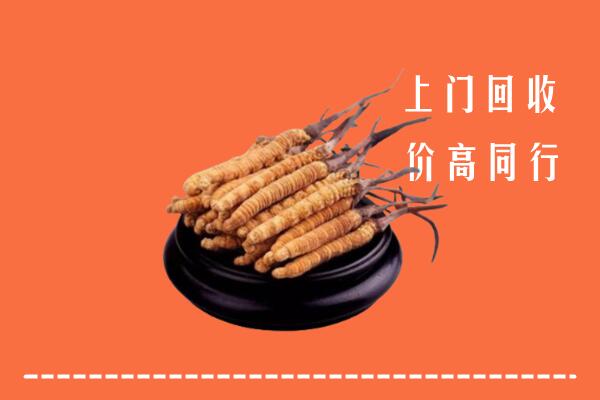 高价求购：南朗镇回收散虫草