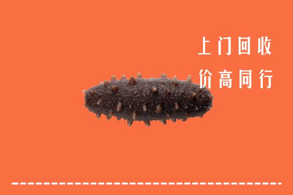 高价求购：南朗镇回收海参