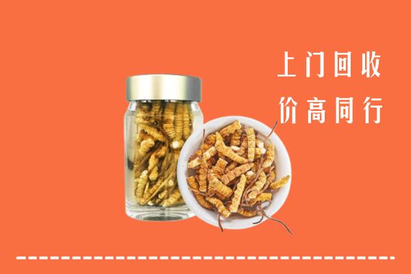 南朗镇回收冬虫夏草
