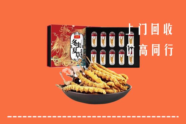 南朗镇回收虫草